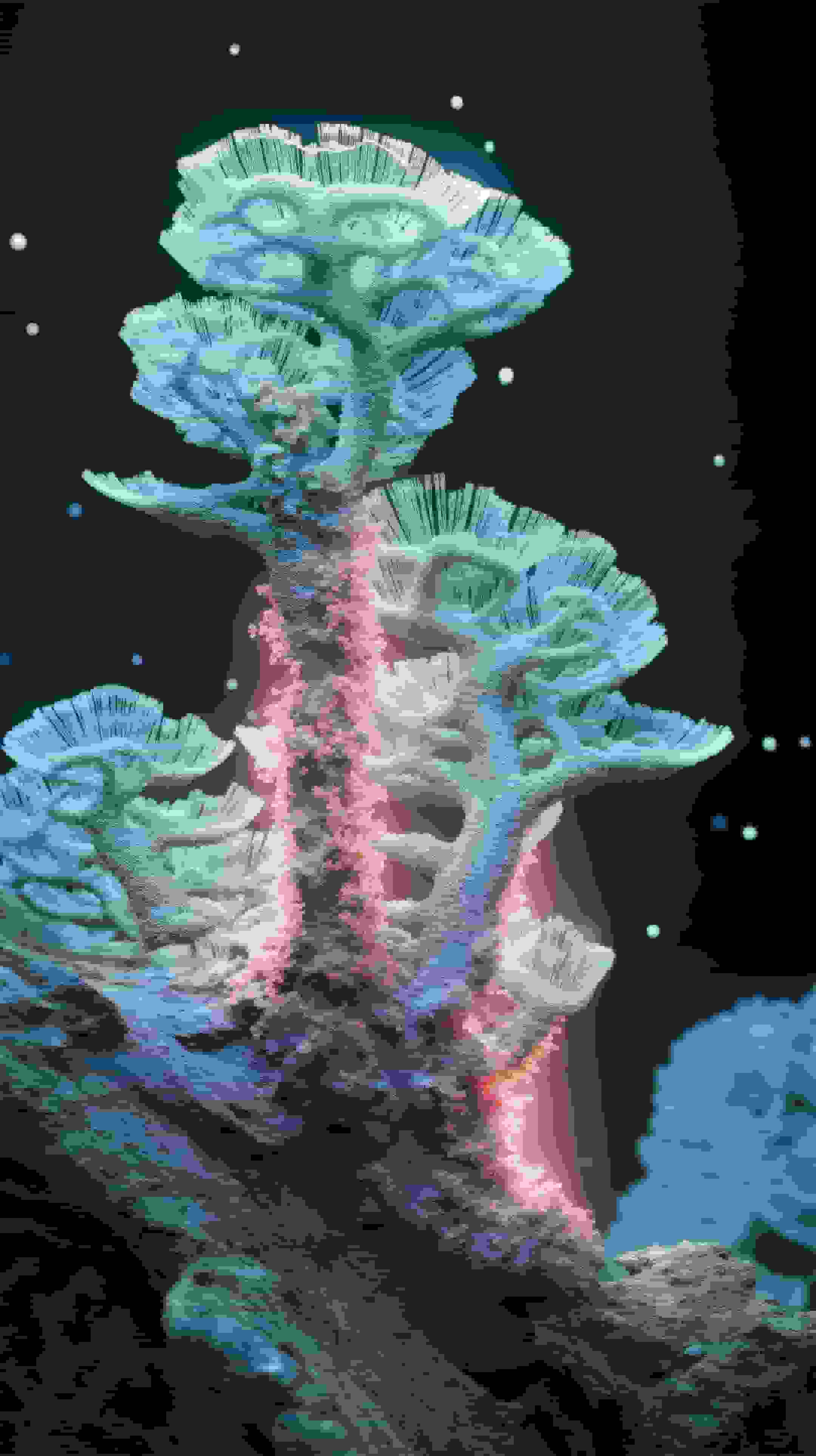 Neuro-Flora: Computational Botany Image