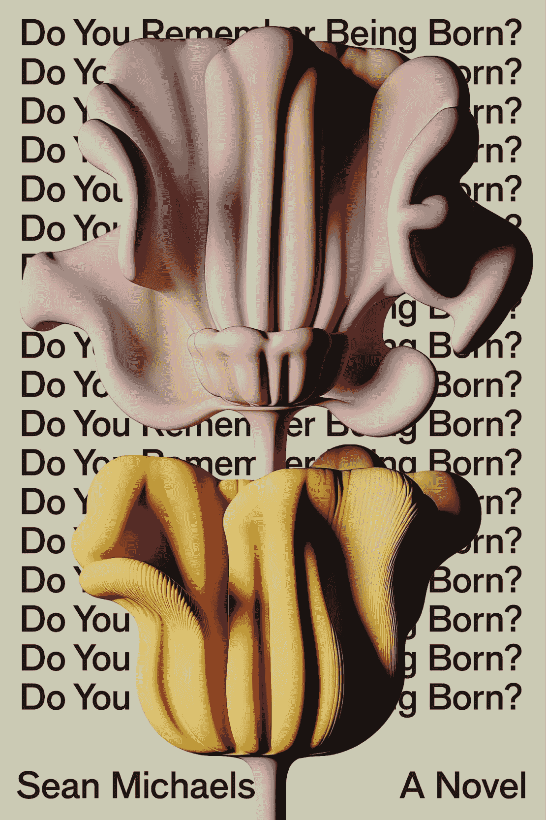 Do You Remember Being Born? by Sean Michaels Image