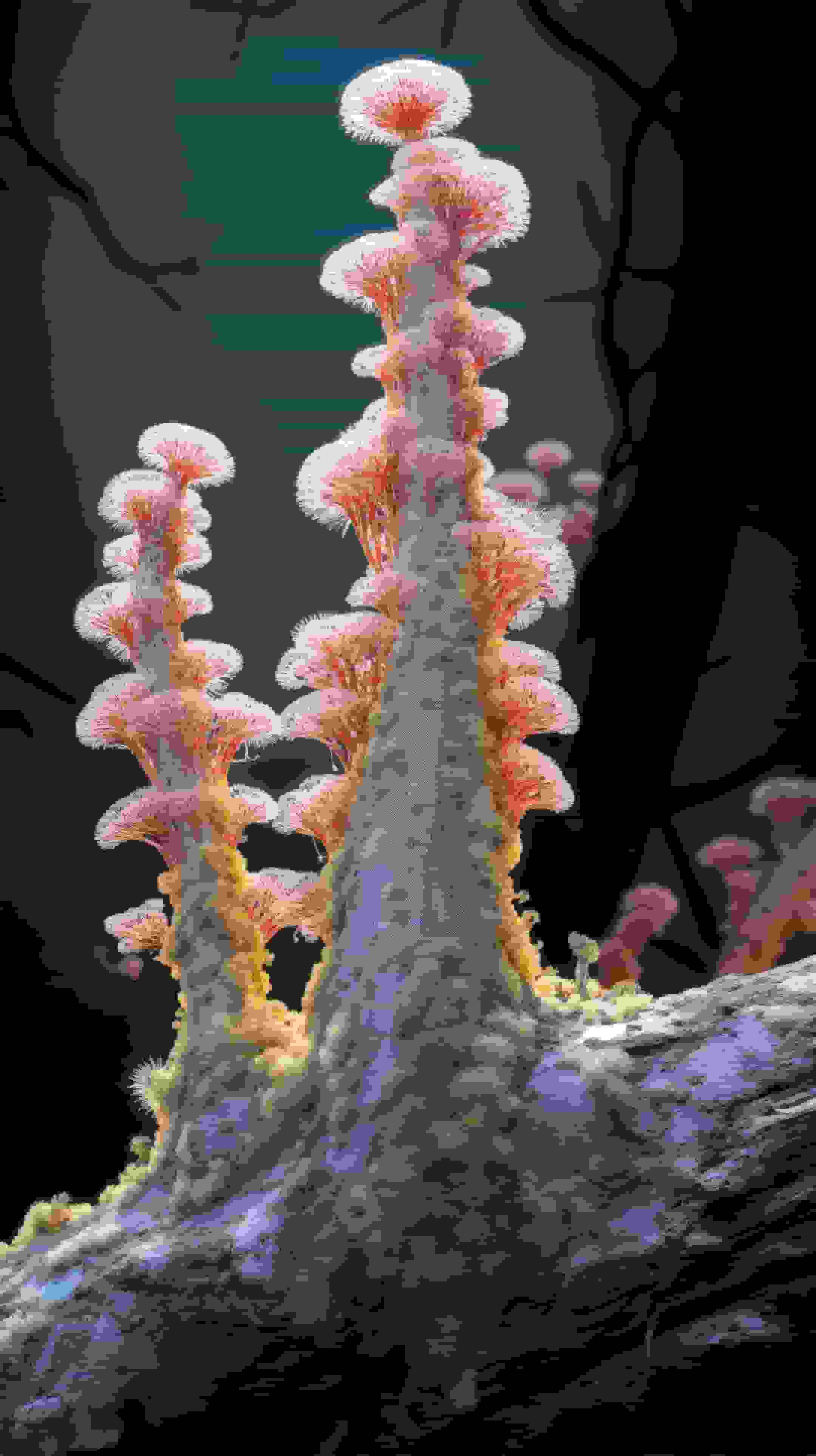 Neuro-Flora: Computational Botany Image