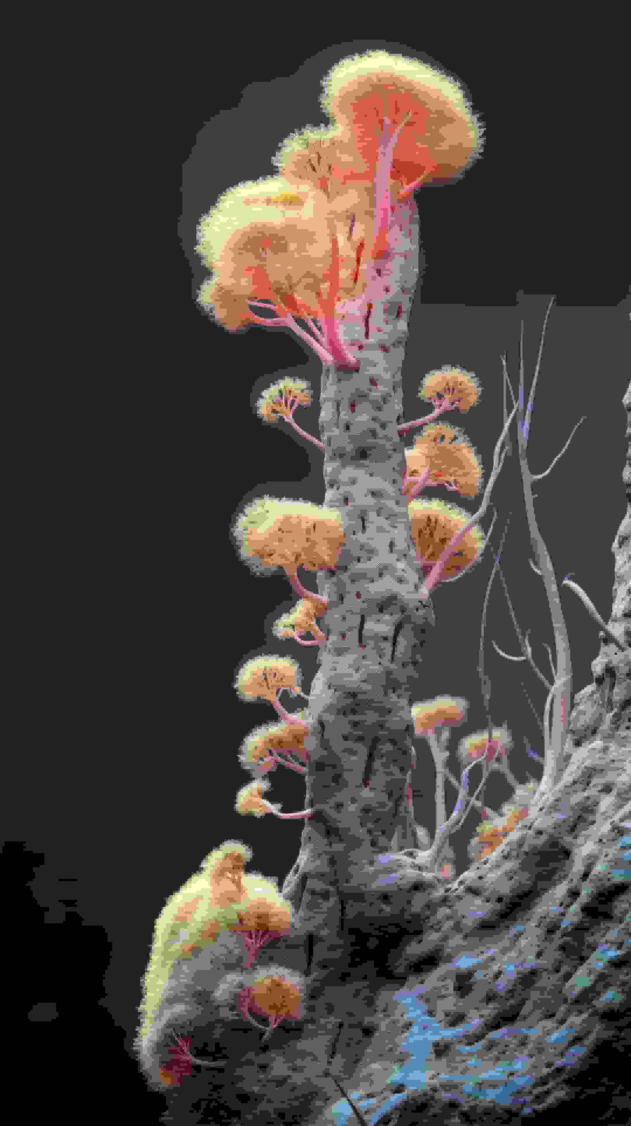 Neuro-Flora: Computational Botany Image